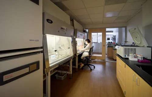 Basic Science Project